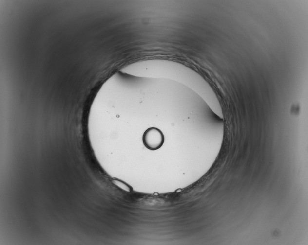 X0000102850512200809151130