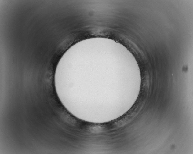 X0000102850513200809151130