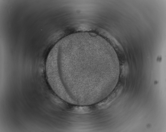 X0000102850517200809151130