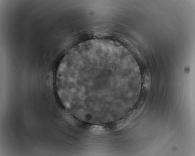 X0000102850519200809151130