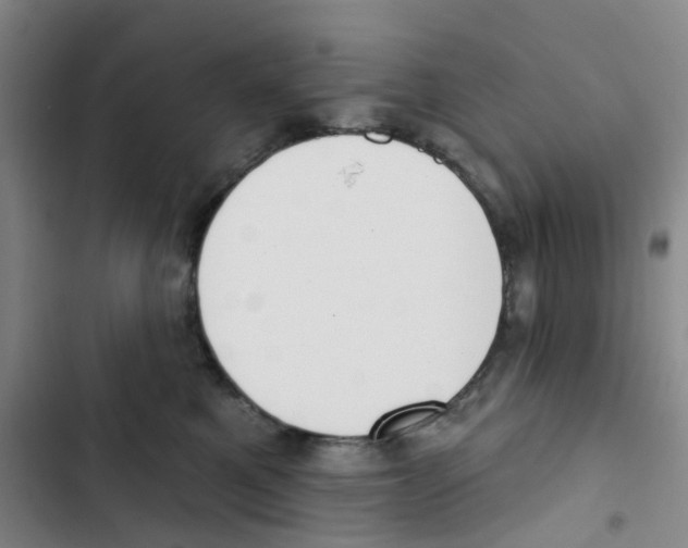 X0000102850521200809151130