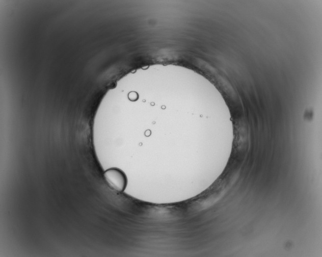 X0000102850523200809151130