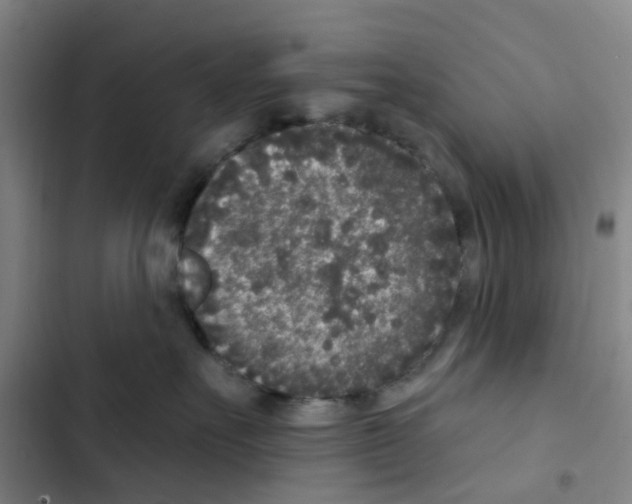 X0000102850527200809151130