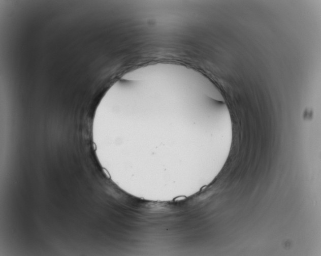 X0000102850528200809151130