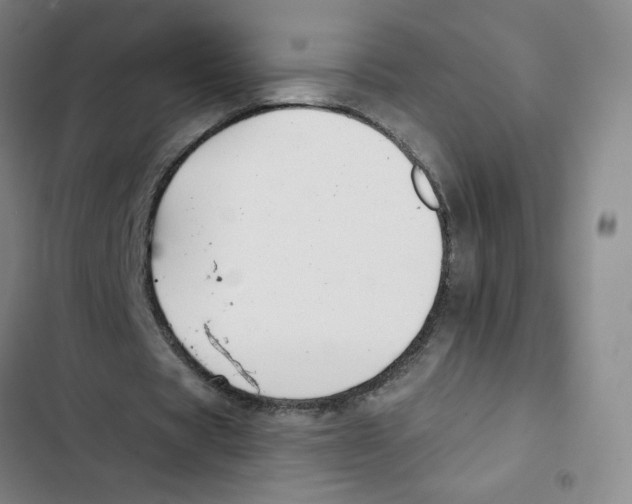 X0000102850529200809151129