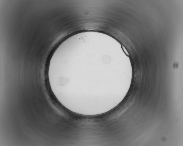 X0000102850530200809151129