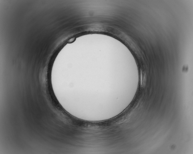 X0000102850531200809151129