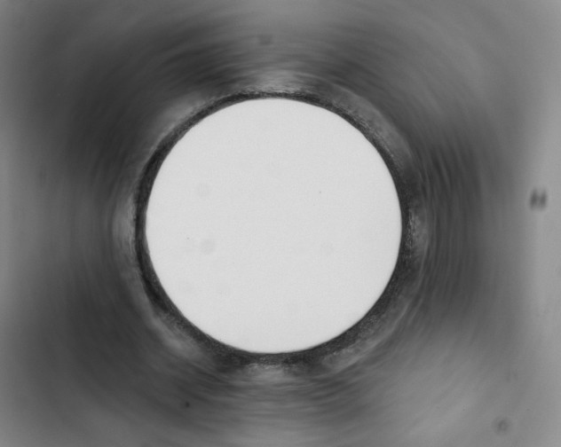 X0000102850534200809151130