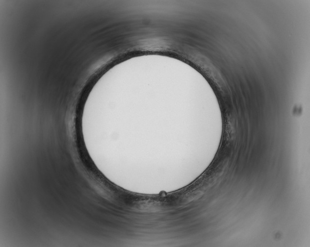 X0000102850535200809151130