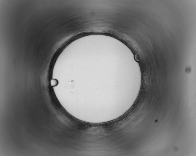 X0000102850536200809151130