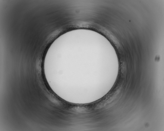 X0000102850537200809151130