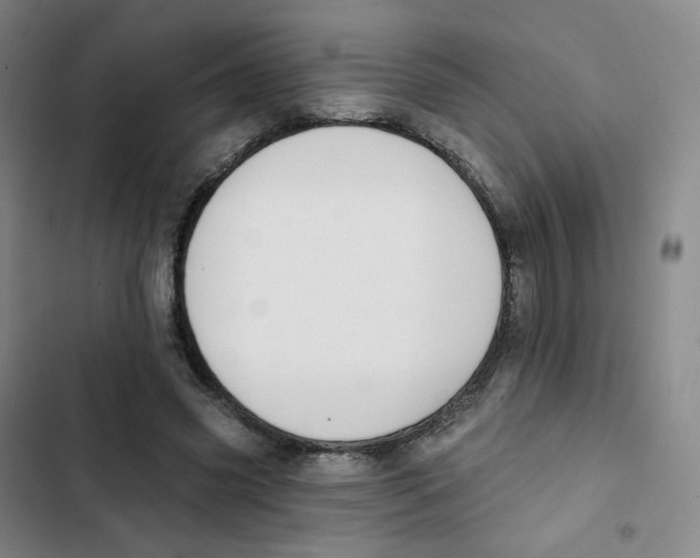 X0000102850541200809151130