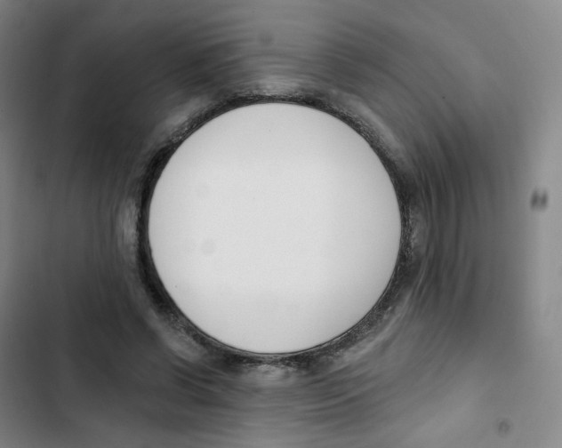 X0000102850542200809151130