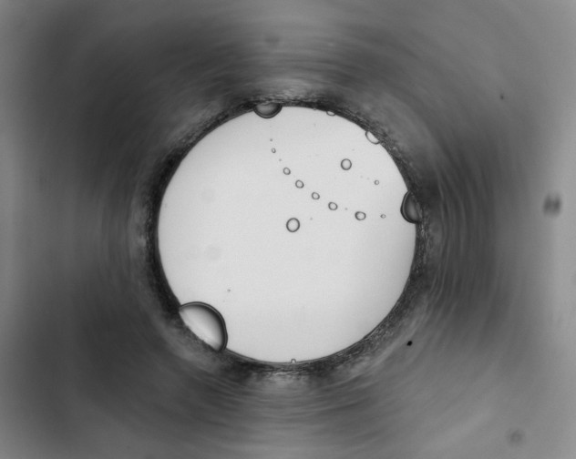 X0000102850546200809151130