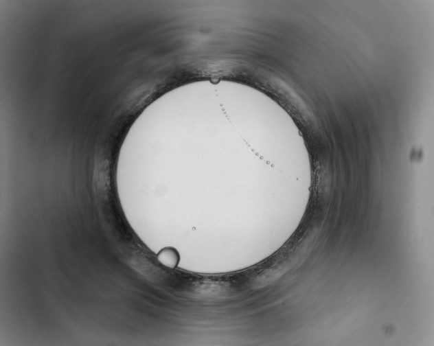 X0000102850549200809151130