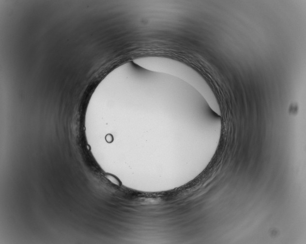 X0000102850552200809151130