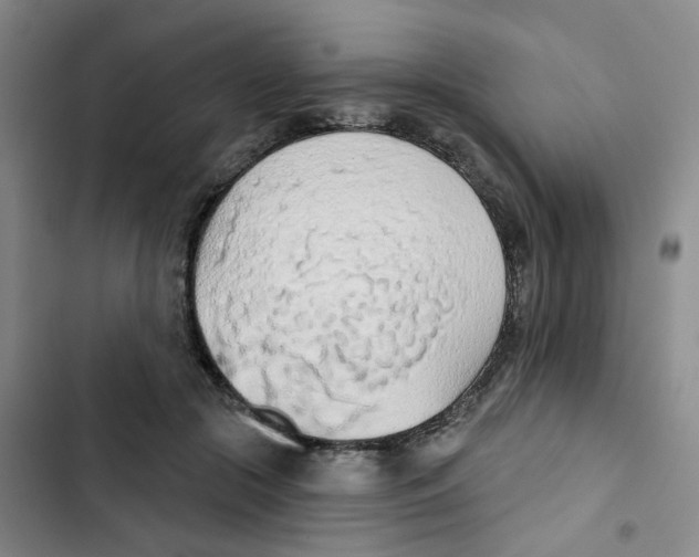 X0000102850553200809151130