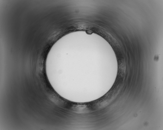 X0000102850554200809151130