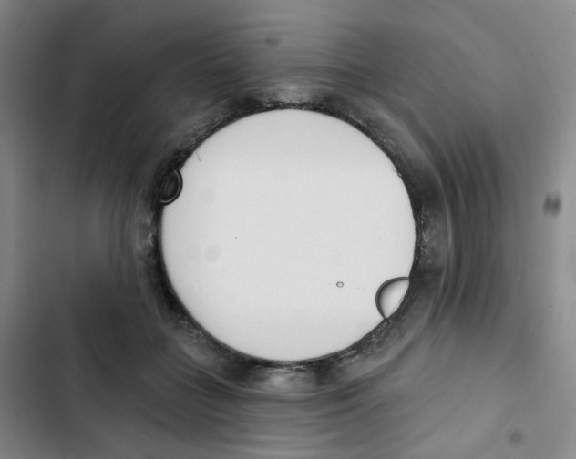 X0000102850555200809151130