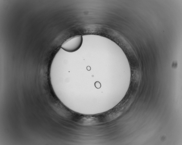 X0000102850557200809151130