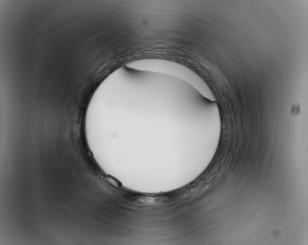 X0000102850558200809151130