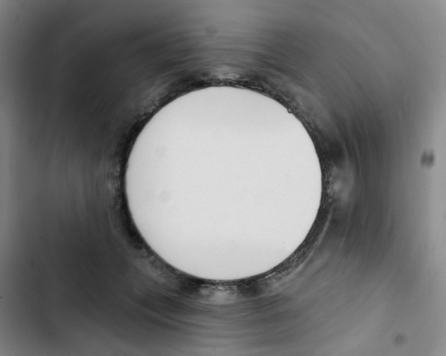 X0000102850559200809151130