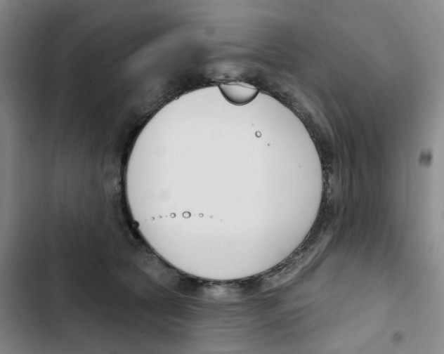 X0000102850561200809151130