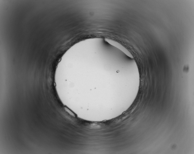 X0000102850566200809151130