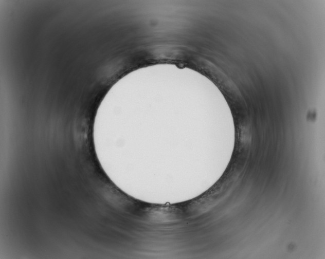 X0000102850567200809151130