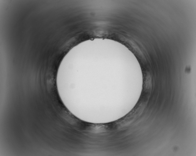 X0000102850569200809151130