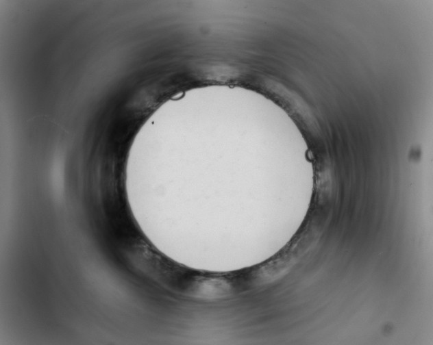 X0000102850572200809151130