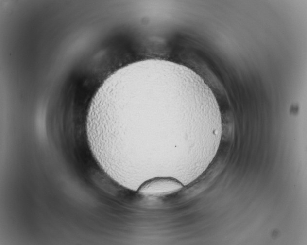 X0000102850573200809151130