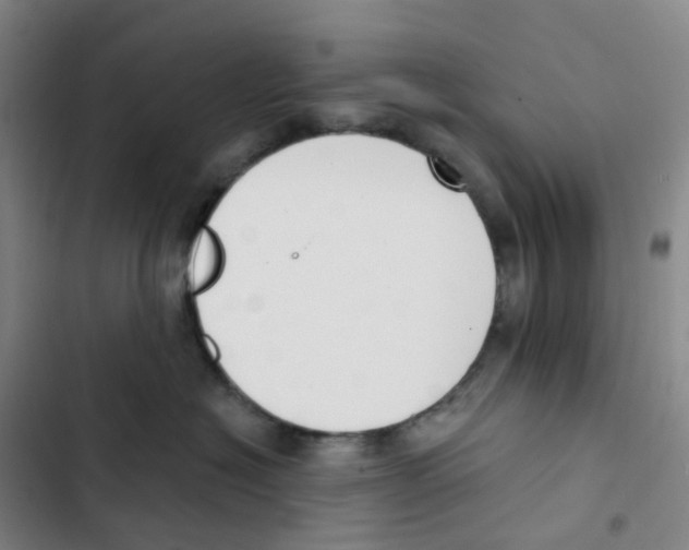 X0000102850574200809151130