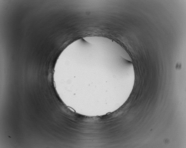 X0000102850576200809151130