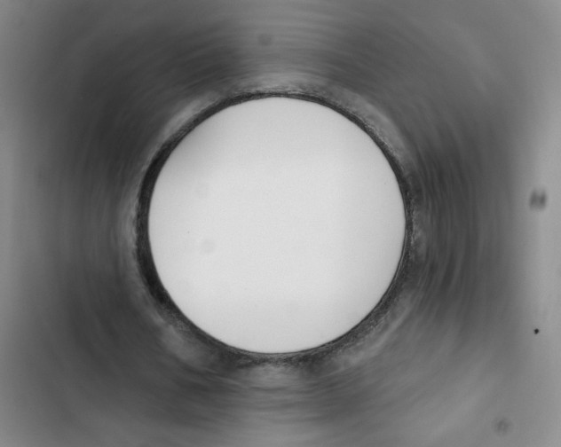 X0000102850578200809151129