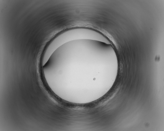 X0000102850581200809151129