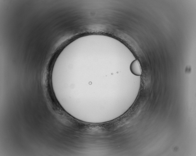 X0000102850583200809151129