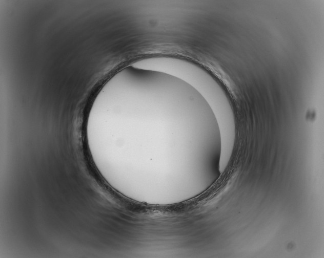 X0000102850585200809151129