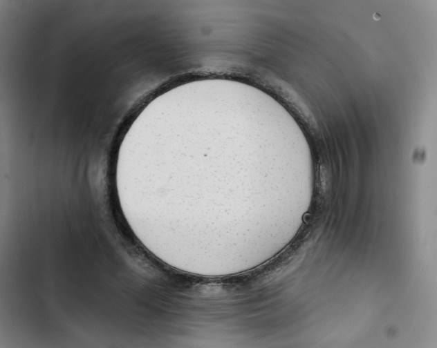 X0000102850588200809151129