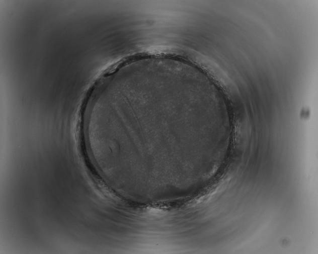 X0000102850592200809151129