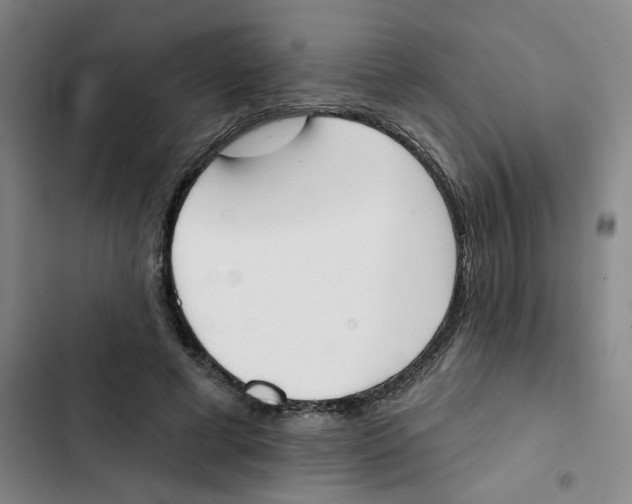 X0000102850593200809151129