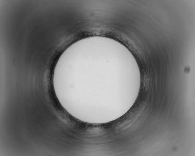 X0000102850594200809151129