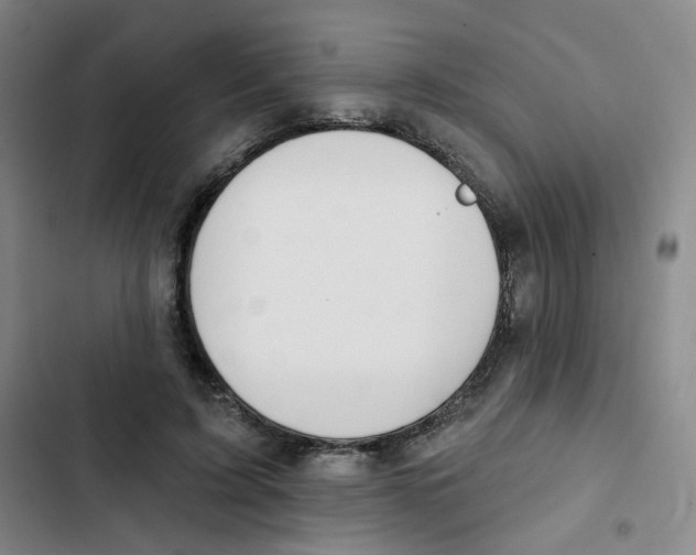 X0000102850595200809151129