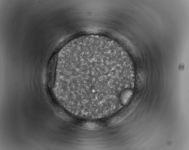 X0000102850596200809151129