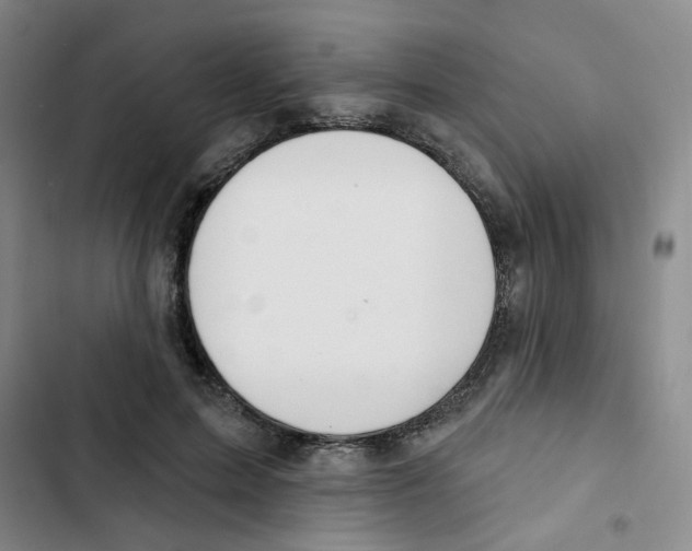 X0000102850599200809151129