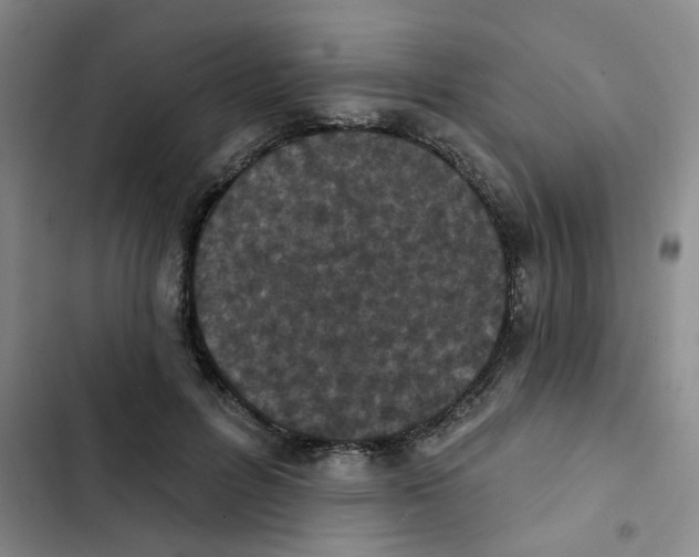 X0000102850600200809151129