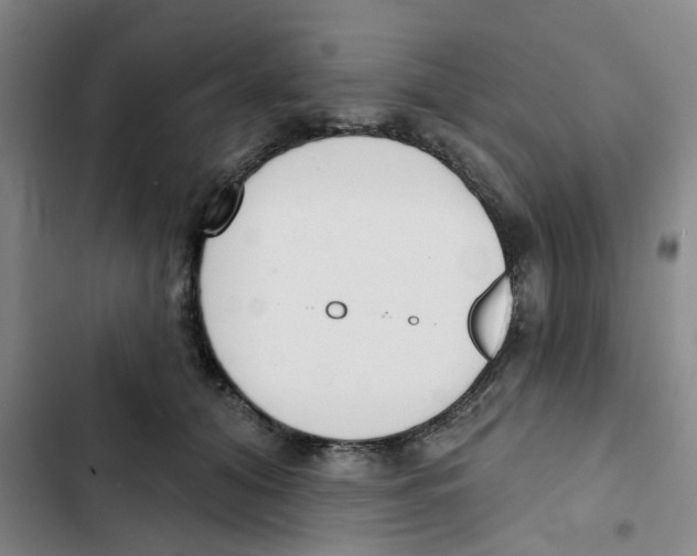 X0000102850608200809151129