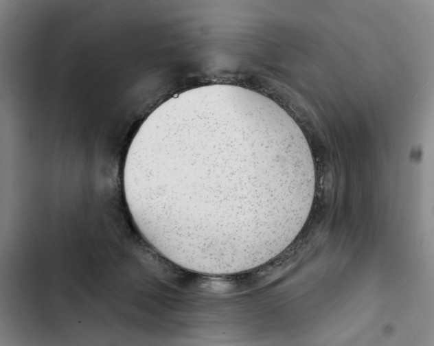 X0000102850610200809151129