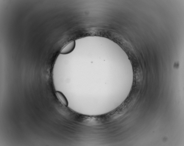 X0000102850611200809151129