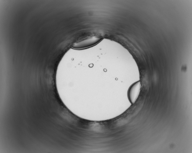 X0000102850616200809151129